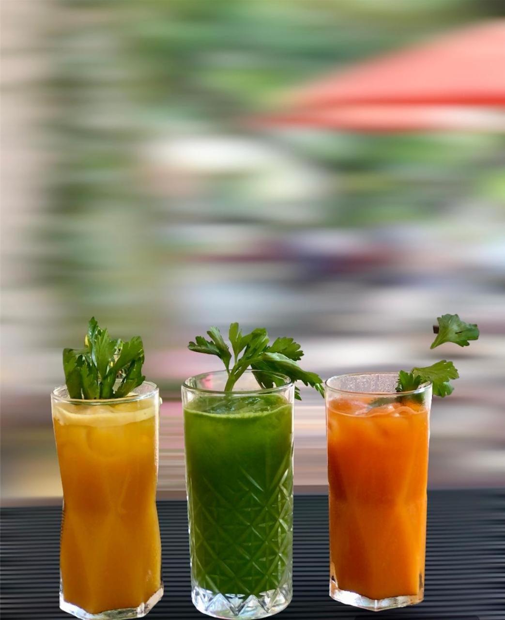 Finca Garullo Hotel Boutique San Rafael  外观 照片